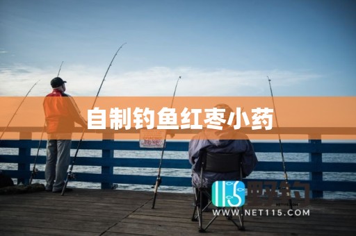 自制钓鱼红枣小药