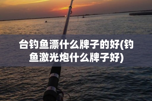 台钓鱼漂什么牌子的好(钓鱼激光炮什么牌子好)
