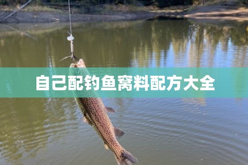 自己配钓鱼窝料配方大全