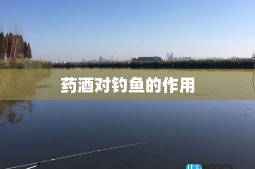 药酒对钓鱼的作用