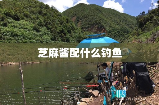 芝麻酱配什么钓鱼