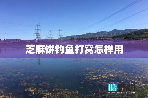 芝麻饼钓鱼打窝怎样用