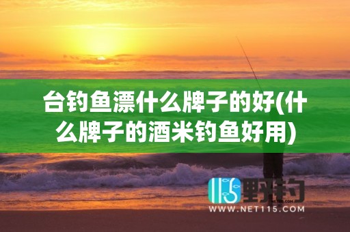 台钓鱼漂什么牌子的好(什么牌子的酒米钓鱼好用)