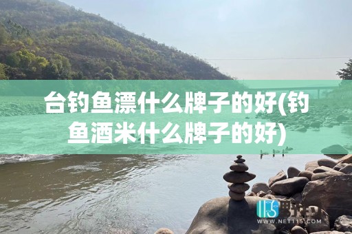 台钓鱼漂什么牌子的好(钓鱼酒米什么牌子的好)