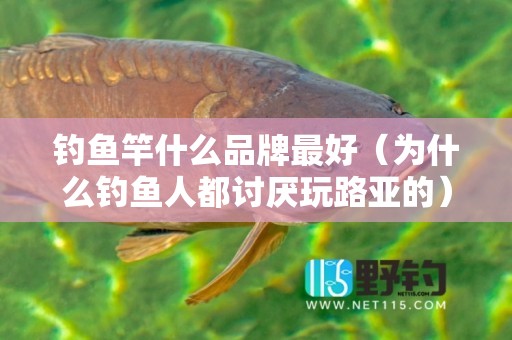 钓鱼竿什么品牌最好（为什么钓鱼人都讨厌玩路亚的）