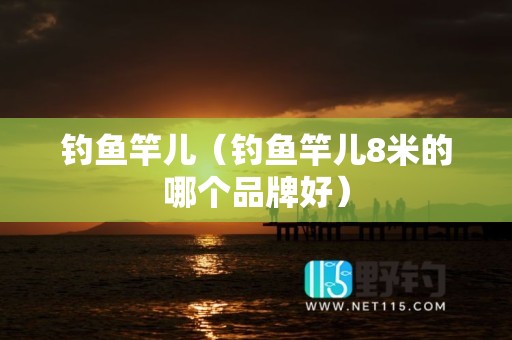 钓鱼竿儿（钓鱼竿儿8米的哪个品牌好）