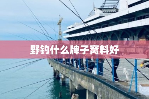 野钓什么牌子窝料好