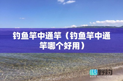 钓鱼竿中通竿（钓鱼竿中通竿哪个好用）