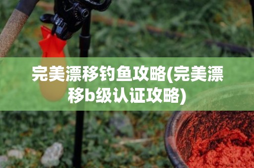 完美漂移钓鱼攻略(完美漂移b级认证攻略)