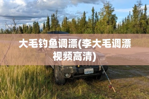 大毛钓鱼调漂(李大毛调漂视频高清)