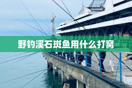野钓溪石斑鱼用什么打窝