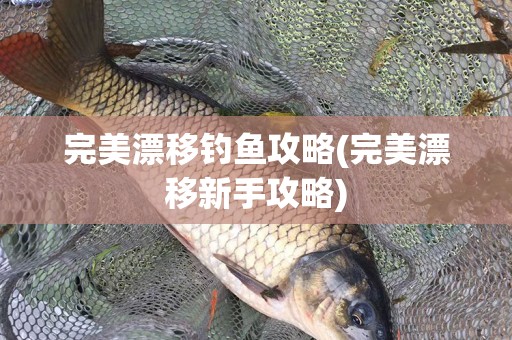 完美漂移钓鱼攻略(完美漂移新手攻略)