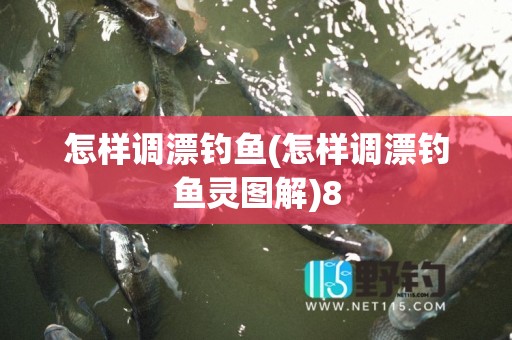 怎样调漂钓鱼(怎样调漂钓鱼灵图解)8