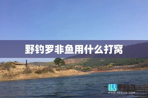 野钓罗非鱼用什么打窝
