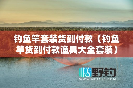 钓鱼竿套装货到付款（钓鱼竿货到付款渔具大全套装）