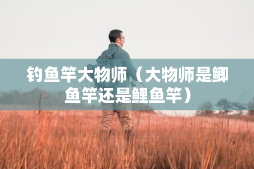 钓鱼竿大物师（大物师是鲫鱼竿还是鲤鱼竿）