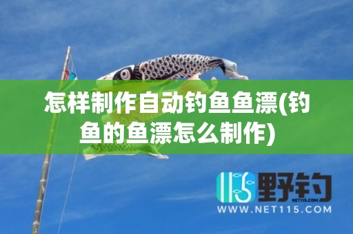 怎样制作自动钓鱼鱼漂(钓鱼的鱼漂怎么制作)