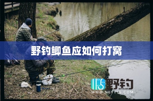 野钓鲫鱼应如何打窝