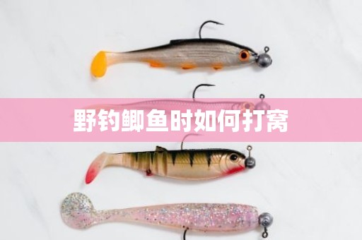 野钓鲫鱼时如何打窝