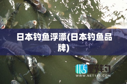 日本钓鱼浮漂(日本钓鱼品牌)