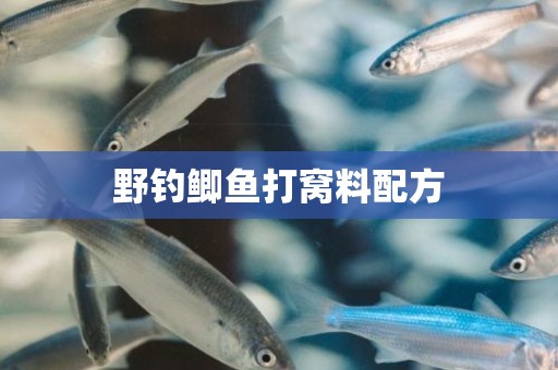 野钓鲫鱼打窝料配方