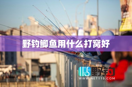 野钓鲫鱼用什么打窝好
