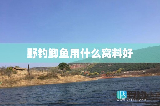 野钓鲫鱼用什么窝料好