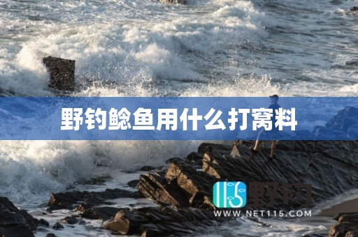 野钓鲶鱼用什么打窝料