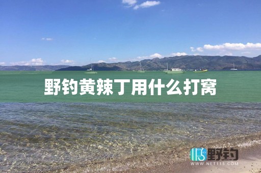 野钓黄辣丁用什么打窝