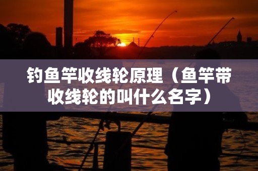 钓鱼竿收线轮原理（鱼竿带收线轮的叫什么名字）