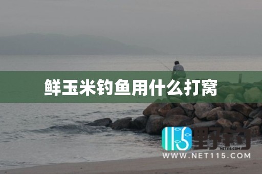 鲜玉米钓鱼用什么打窝