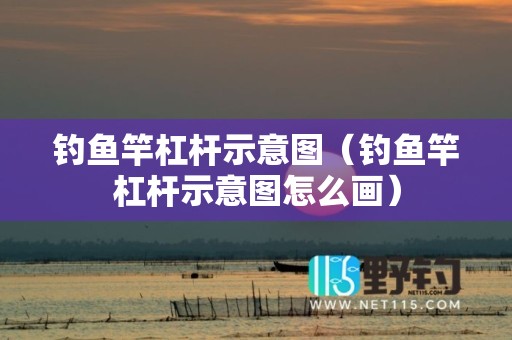 钓鱼竿杠杆示意图（钓鱼竿杠杆示意图怎么画）