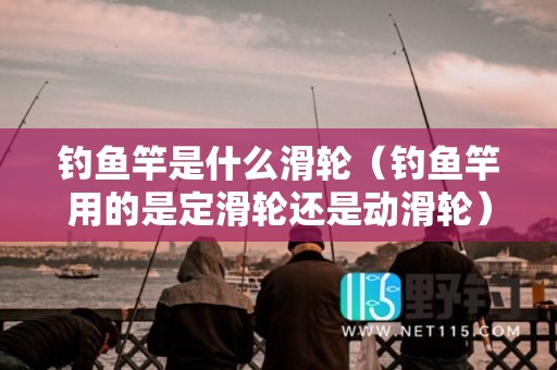 钓鱼竿是什么滑轮（钓鱼竿用的是定滑轮还是动滑轮）