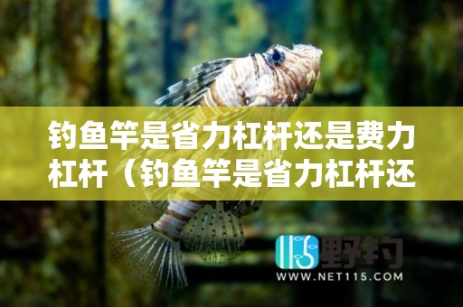 钓鱼竿是省力杠杆还是费力杠杆（钓鱼竿是省力杠杆还是费力杠杆道钉撬筷子钢丝钳）