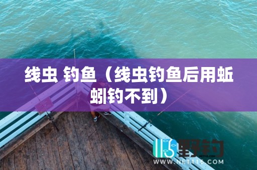 线虫 钓鱼（线虫钓鱼后用蚯蚓钓不到）