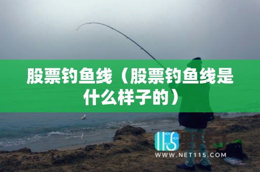 股票钓鱼线（股票钓鱼线是什么样子的）