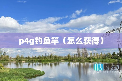 p4g钓鱼竿（怎么获得）