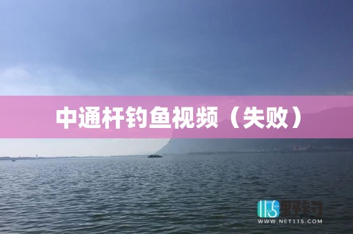 中通杆钓鱼视频（失败）