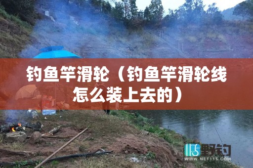 钓鱼竿滑轮（钓鱼竿滑轮线怎么装上去的）