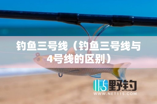钓鱼三号线（钓鱼三号线与4号线的区别）