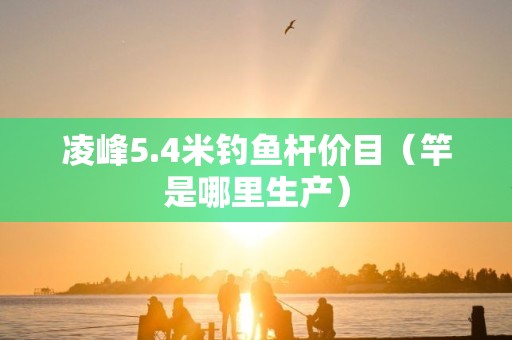 凌峰5.4米钓鱼杆价目（竿是哪里生产）