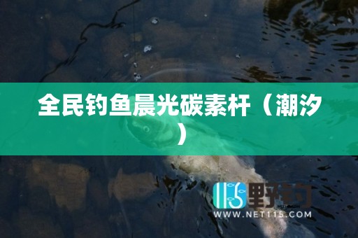 全民钓鱼晨光碳素杆（潮汐）