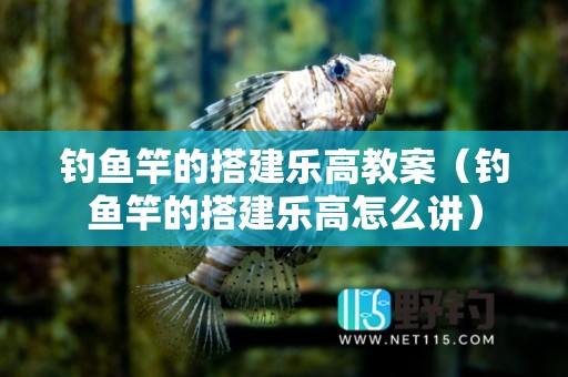 钓鱼竿的搭建乐高教案（钓鱼竿的搭建乐高怎么讲）