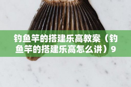 钓鱼竿的搭建乐高教案（钓鱼竿的搭建乐高怎么讲）9