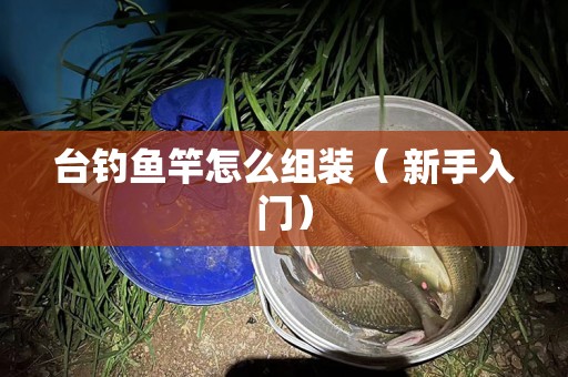 台钓鱼竿怎么组装（ 新手入门）