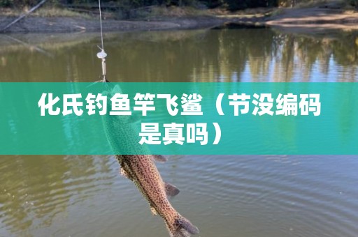 化氏钓鱼竿飞鲨（节没编码是真吗）