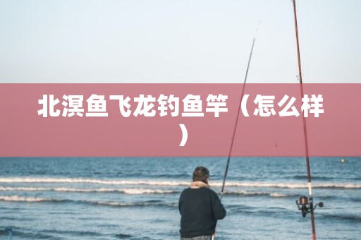 北溟鱼飞龙钓鱼竿（怎么样）