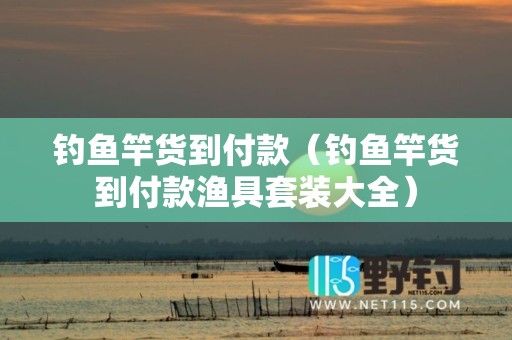 钓鱼竿货到付款（钓鱼竿货到付款渔具套装大全）