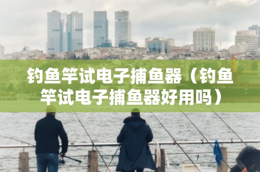 钓鱼竿试电子捕鱼器（钓鱼竿试电子捕鱼器好用吗）