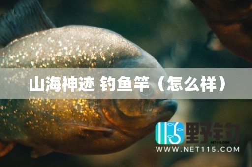 山海神迹 钓鱼竿（怎么样）